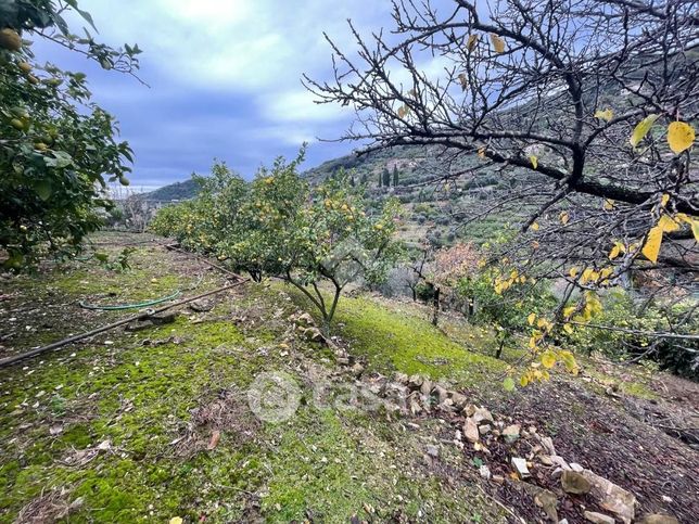 Terreno agricolo in commerciale in Strada Giambranca