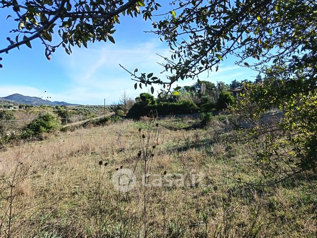 Terreno agricolo in commerciale in Via dell'Ovile