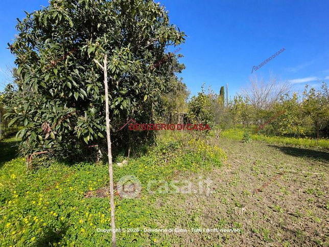Terreno agricolo in commerciale in Contrada Malvicino 106