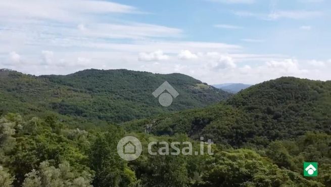 Terreno agricolo in commerciale in Strada di Montenero 1