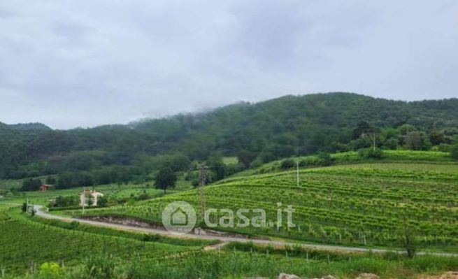 Terreno agricolo in commerciale in Via Regazzoni Bassa