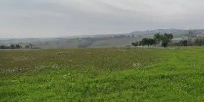 Terreno agricolo in commerciale in Contrada Crocette