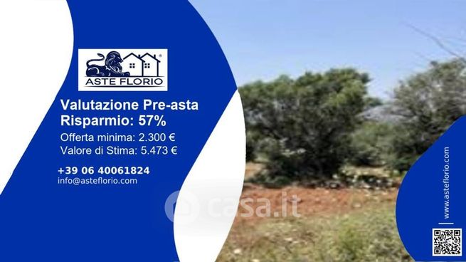 Terreno agricolo in commerciale in Contrada Calandrino