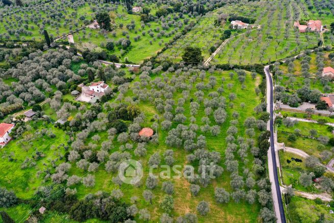 Terreno edificabile in residenziale in Strada Vicinale Taniga San Giacomo Medas 107