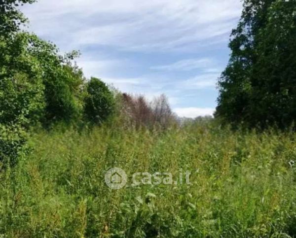 Terreno agricolo in commerciale in Strada Terraglio