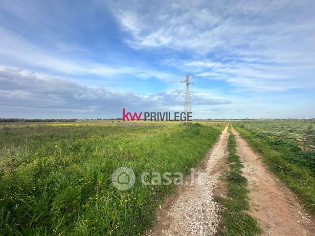 Terreno agricolo in commerciale in Via Pilella 51