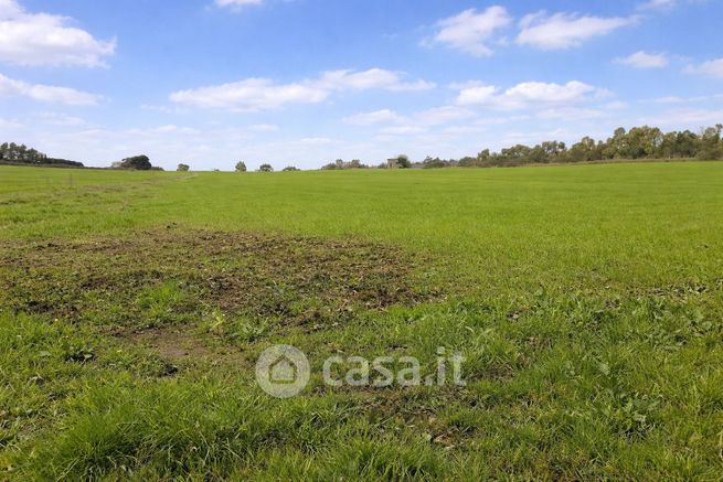 Terreno agricolo in commerciale in Via Braccianese Claudia