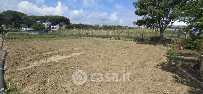 Terreno agricolo in commerciale in Via Berlinguer