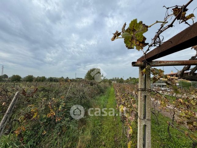 Terreno agricolo in commerciale in Via dei Ceraseti 32