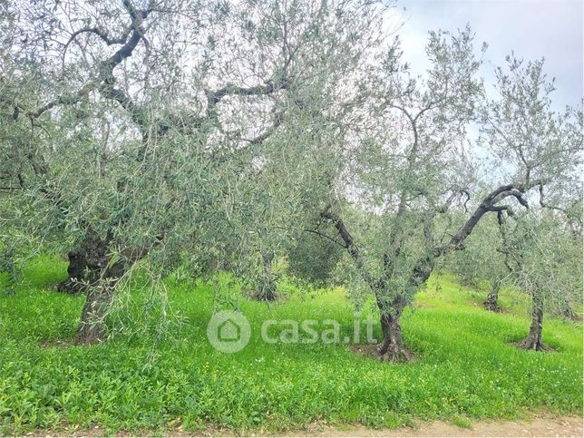 Terreno agricolo in commerciale in Via Evangelista Torricelli