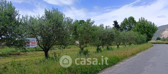 Terreno agricolo in commerciale in Via San Giorgio