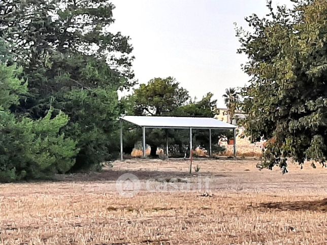 Terreno agricolo in commerciale in Strada Senza Nome