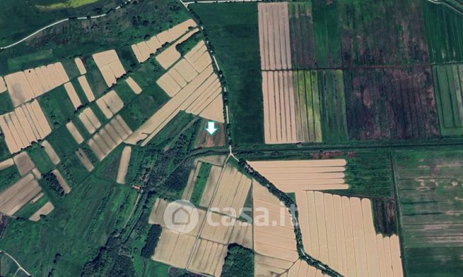 Terreno agricolo in commerciale in Via di San Ginese 151 /A