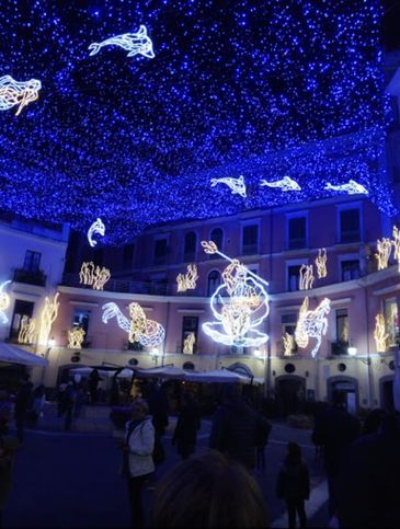 Attività/licenza (con o senza mura) in commerciale in Piazza Gioia Flavio 26