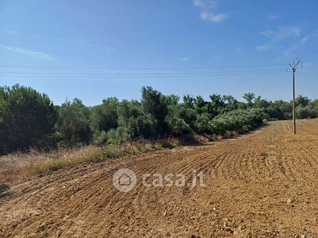 Terreno agricolo in commerciale in SP159 413