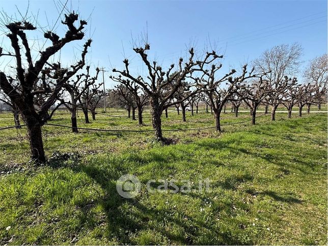 Terreno agricolo in commerciale in Via Ortignola