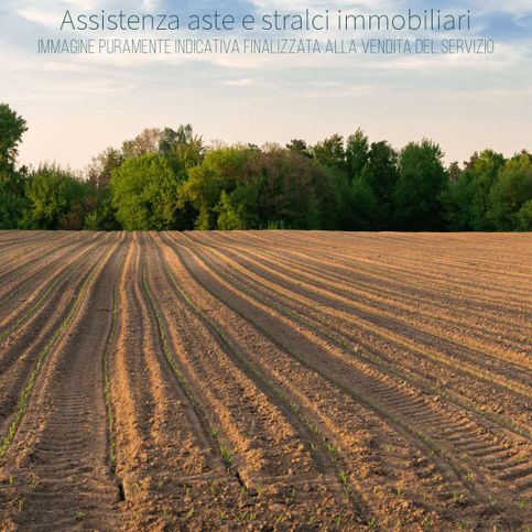 Terreno agricolo in commerciale in Viale Alcide de Gasperi