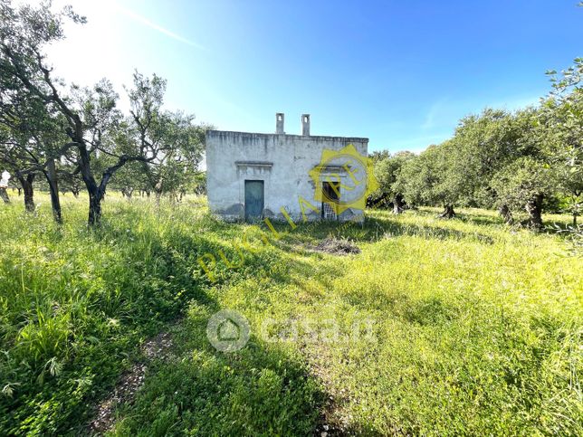 Terreno agricolo in commerciale in Vicinale del Conte