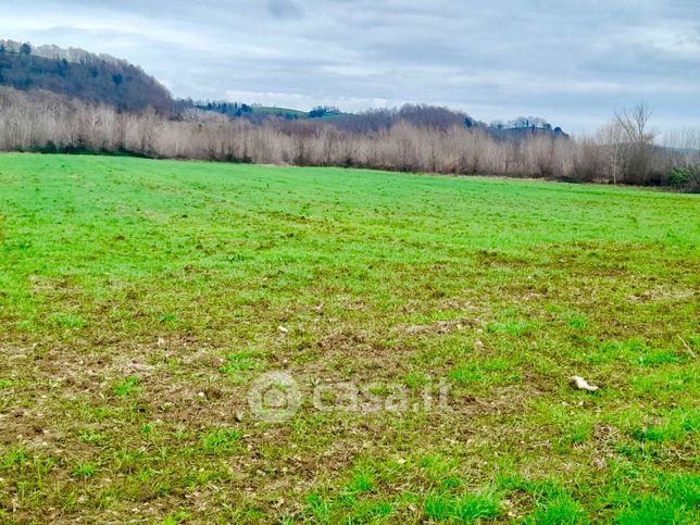 Terreno agricolo in commerciale in Località La Vecchia