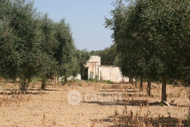 Terreno agricolo in commerciale in Strada senza nome