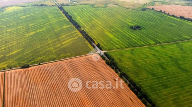 Terreno agricolo in commerciale in 