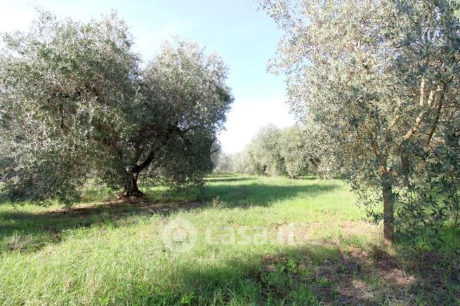 Terreno agricolo in commerciale in Via delle noci 7