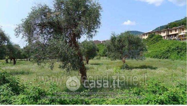 Terreno agricolo in commerciale in Via Andrea del Sarto