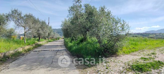 Terreno agricolo in commerciale in 