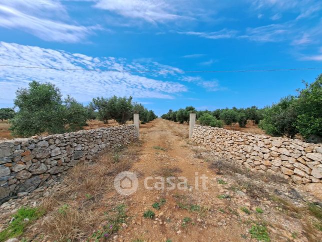 Terreno agricolo in commerciale in S.Isidoro
