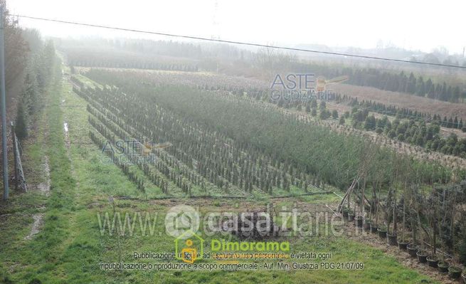 Terreno agricolo in commerciale in 