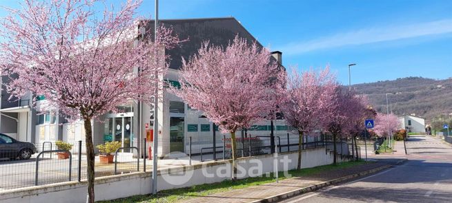 Attivitã /licenza (con o senza mura) in commerciale in 