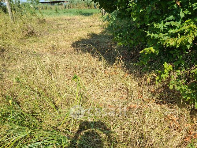 Terreno agricolo in commerciale in