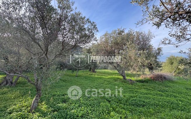 Terreno agricolo in commerciale in LocalitÃ  San Saba