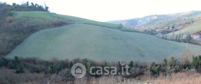 Terreno agricolo in commerciale in Via Rio Cozzi