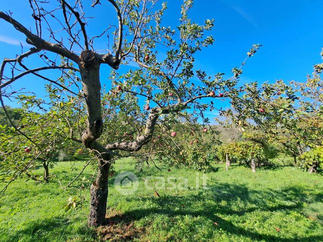 Rustico/casale in residenziale in 