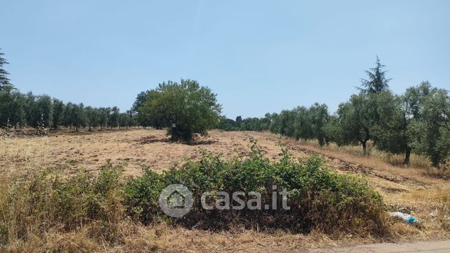 Terreno agricolo in commerciale in Viale Monte Cotugno