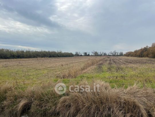 Terreno agricolo in commerciale in Piazza Angelo Pastrello