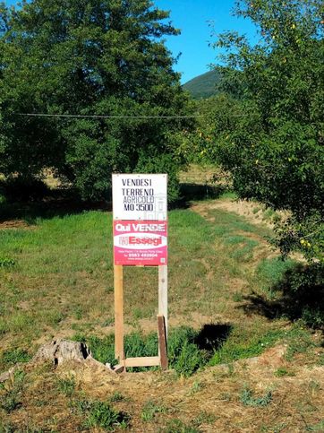 Terreno agricolo in commerciale in Via per Chiatri