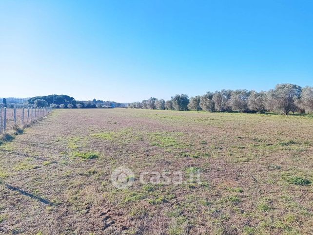 Terreno agricolo in commerciale in Strada Regionale 206