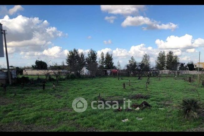 Terreno agricolo in commerciale in Via CARRAFIELLO