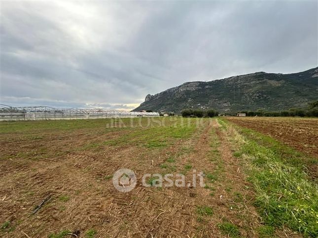 Terreno agricolo in commerciale in Via Sant'Eleuterio