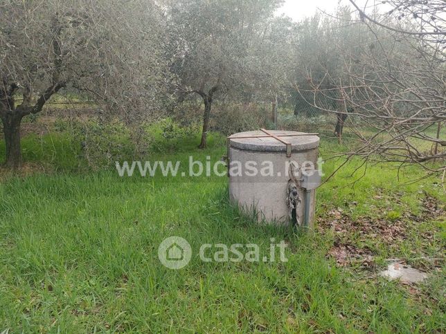 Terreno agricolo in commerciale in Corso XI Settembre
