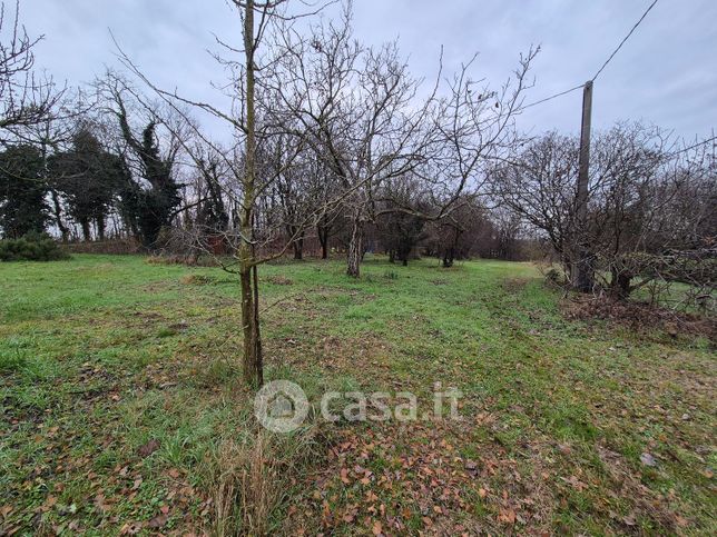 Terreno agricolo in commerciale in 