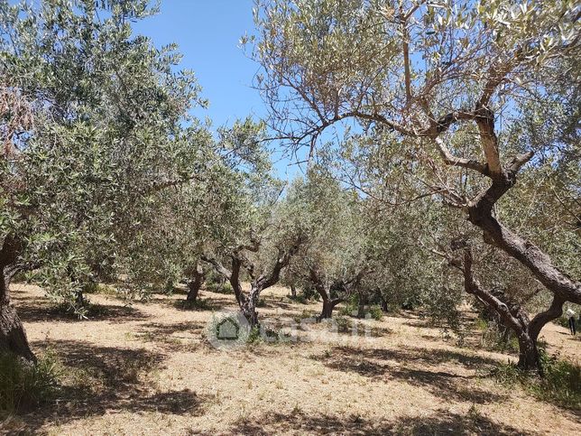 Terreno agricolo in commerciale in Via Pescarina