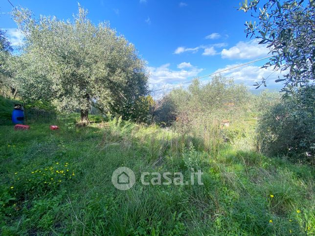 Terreno agricolo in commerciale in Via Aurelia Nord