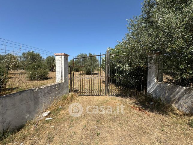 Terreno agricolo in commerciale in Strada Vicinale Giagumona