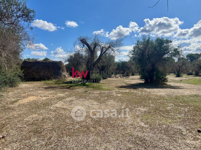 Terreno agricolo in commerciale in Strada Provinciale 47