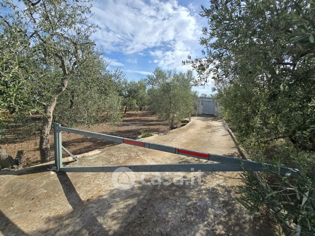 Terreno agricolo in commerciale in Via Piscina Cileo