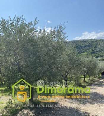 Terreno agricolo in commerciale in LocalitÃ  Santa Maria