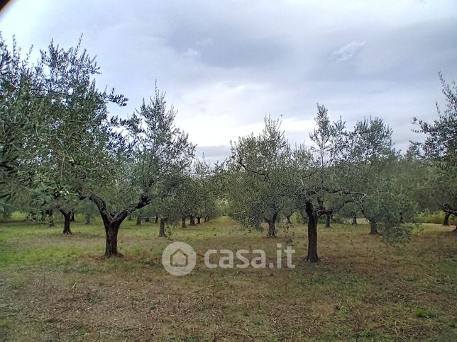 Terreno agricolo in commerciale in Via dei Vigneti